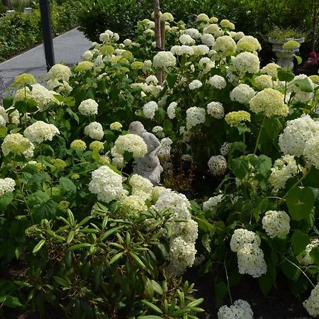 B&B “De Boerlarij” 뤼너볼드 외부 사진